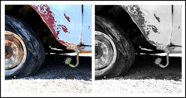 Life finds a way out2