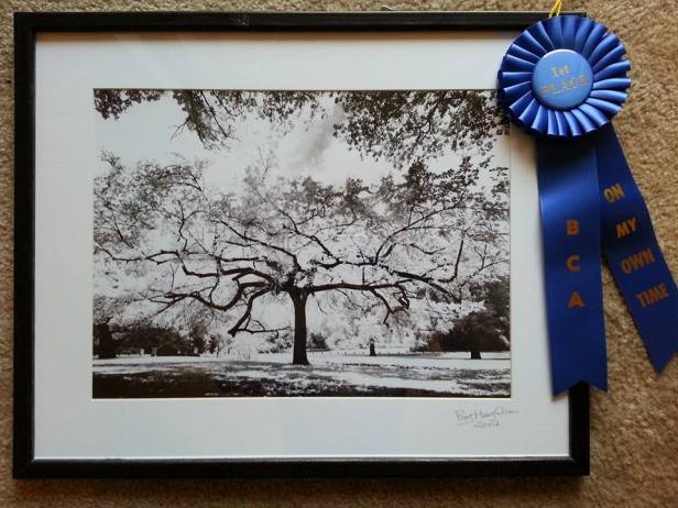 33851508_10210641517785756_7553732865226178560_n