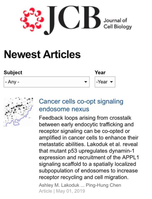 59345360_10212628731104847_1571771542856007680_n